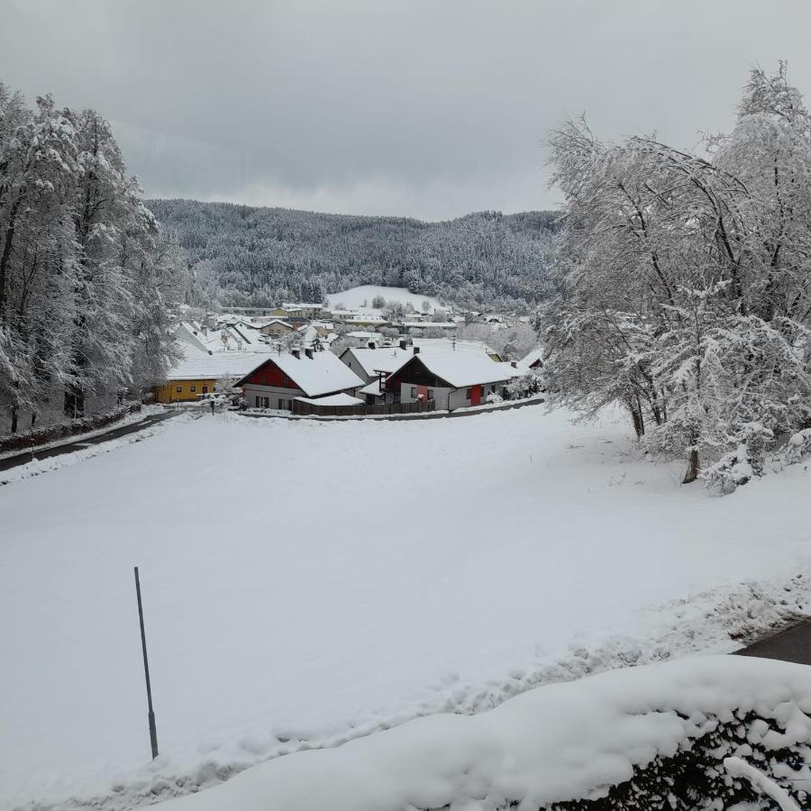 Haus Am Schloss Bleiburg Eksteriør bilde